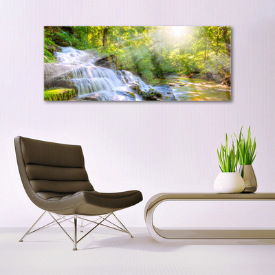 Glass Print Waterfall forest nature white brown green