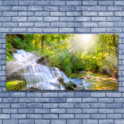 Glass Print Waterfall forest nature white brown green