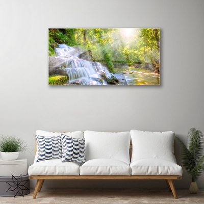 Glass Print Waterfall forest nature white brown green