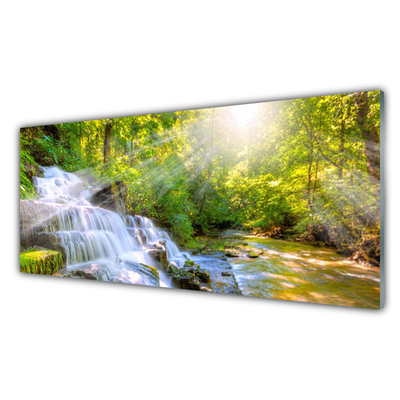 Glass Print Waterfall forest nature white brown green