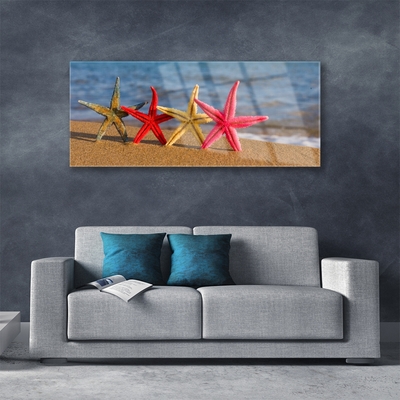Glass Print Beach starfish art multi