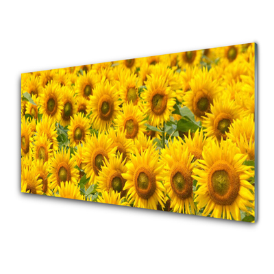 Glass Print Sunflowers floral yellow brown green