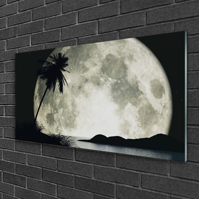 Glass Print Night moon palm landscape black grey white