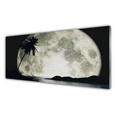 Glass Print Night moon palm landscape black grey white