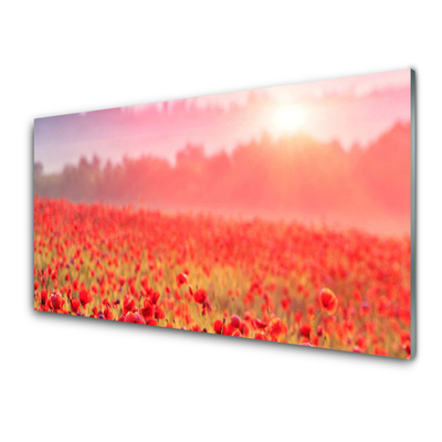 Glass Print Meadow flowers nature red green