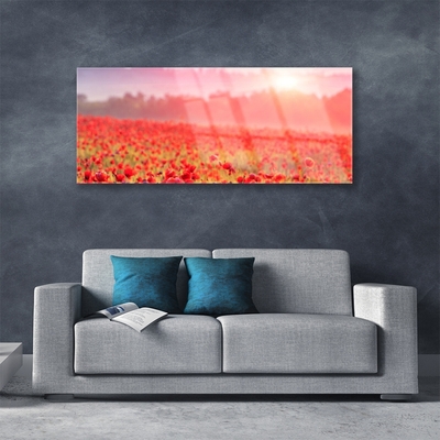 Glass Print Meadow flowers nature red green