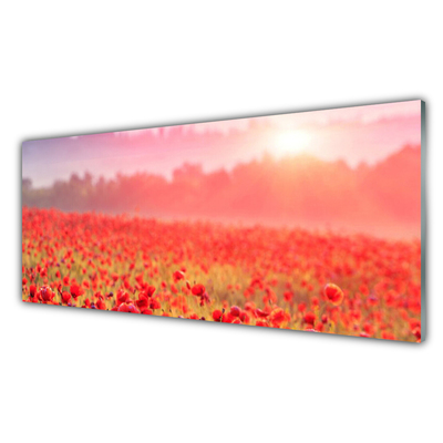 Glass Print Meadow flowers nature red green