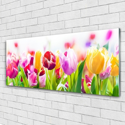 Glass Print Tulips floral red pink green