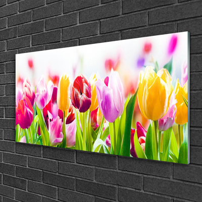 Glass Print Tulips floral red pink green