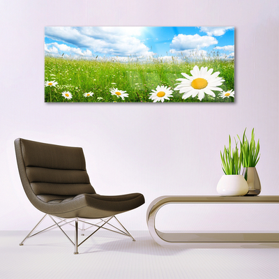 Glass Print Daisy grass nature white yellow green