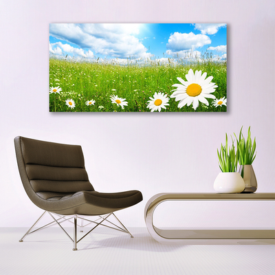 Glass Print Daisy grass nature white yellow green