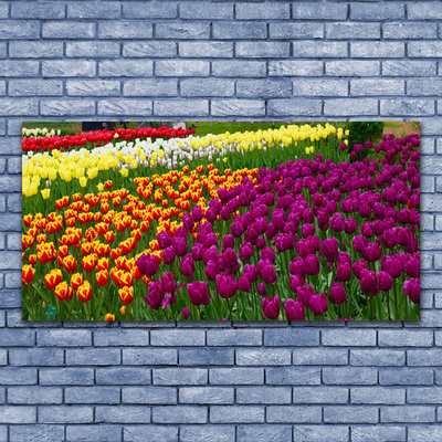 Glass Print Tulips floral yellow red green white