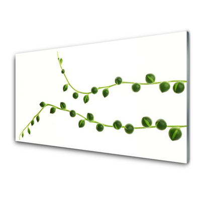 Glass Print Ornamental plant floral green white