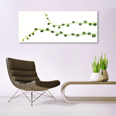 Glass Print Ornamental plant floral green white