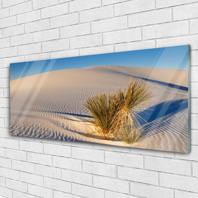 Glass Print Desert landscape brown green