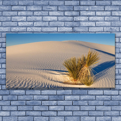 Glass Print Desert landscape brown green