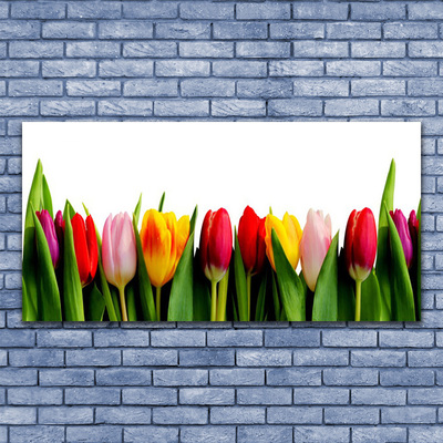 Glass Print Tulips floral red pink yellow green