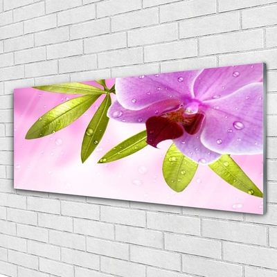Glass Print Flower leaves floral pink green