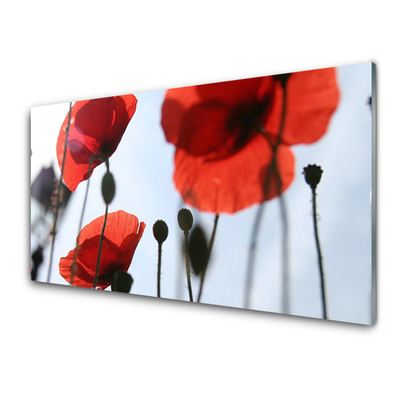 Glass Print Poppies floral red black