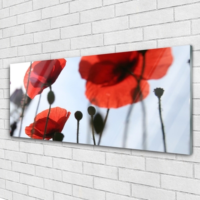 Glass Print Poppies floral red black