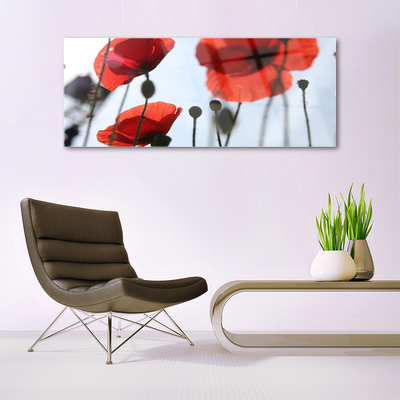 Glass Print Poppies floral red black