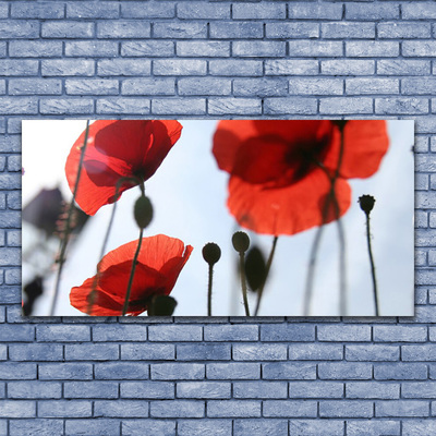 Glass Print Poppies floral red black