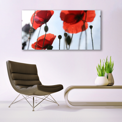 Glass Print Poppies floral red black