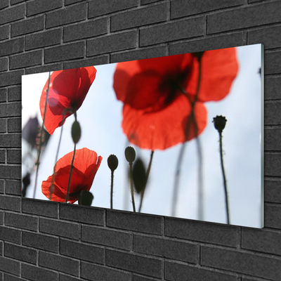 Glass Print Poppies floral red black