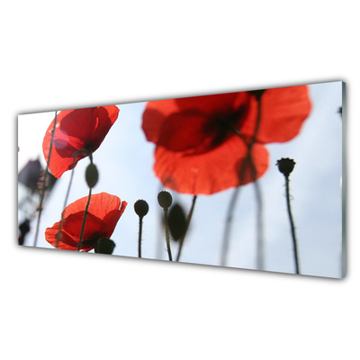 Glass Print Poppies floral red black