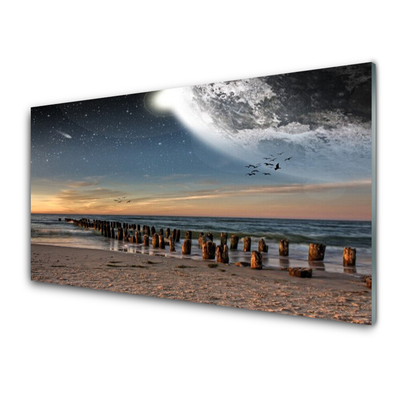 Glass Print Ocean beach landscape brown black blue