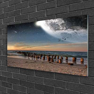 Glass Print Ocean beach landscape brown black blue