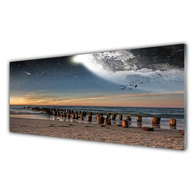 Glass Print Ocean beach landscape brown black blue