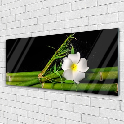 Glass Print Bamboo flower floral white green