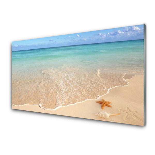 Glass Print Sea beach starfish landscape blue brown