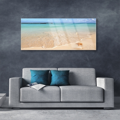 Glass Print Sea beach starfish landscape blue brown