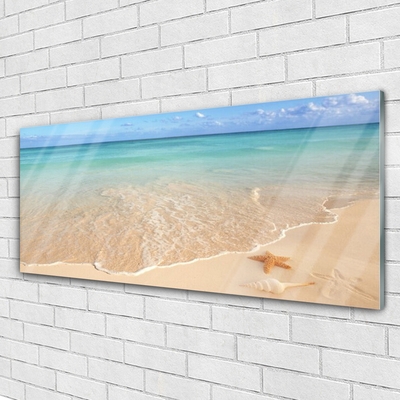 Glass Print Sea beach starfish landscape blue brown