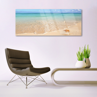 Glass Print Sea beach starfish landscape blue brown