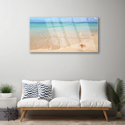 Glass Print Sea beach starfish landscape blue brown