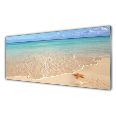 Glass Print Sea beach starfish landscape blue brown