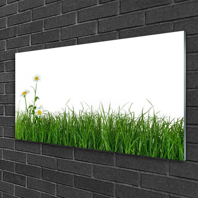 Glass Print Weed nature green