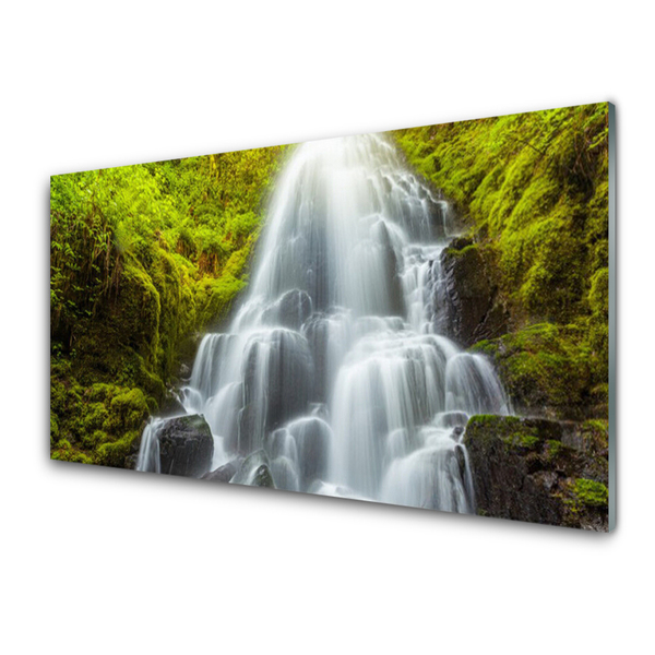 Glass Print Waterfall nature white grey green