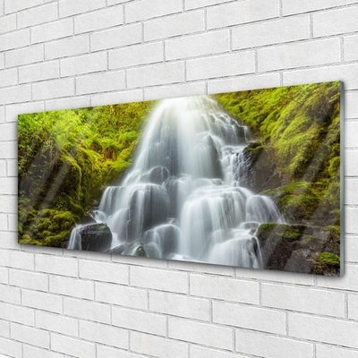 Glass Print Waterfall nature white grey green