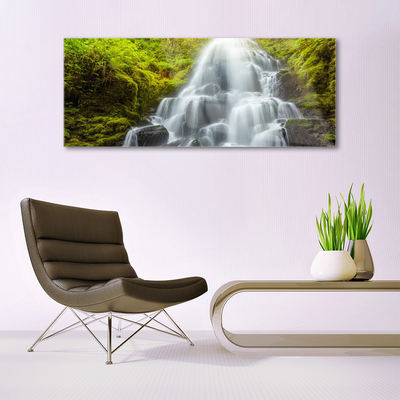 Glass Print Waterfall nature white grey green