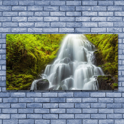 Glass Print Waterfall nature white grey green