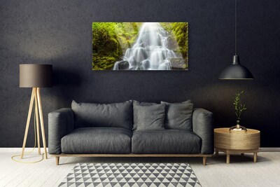 Glass Print Waterfall nature white grey green