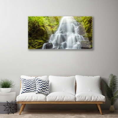 Glass Print Waterfall nature white grey green