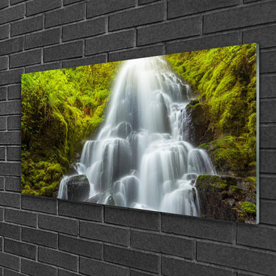 Glass Print Waterfall nature white grey green