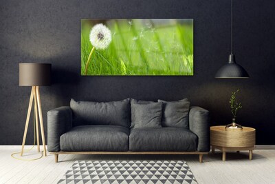 Glass Print Pusteblume grass floral white green