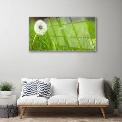 Glass Print Pusteblume grass floral white green