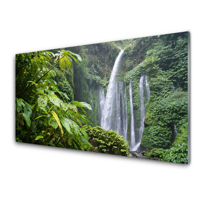 Glass Print Waterfall nature green white grey